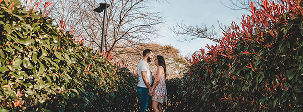Trash the dress